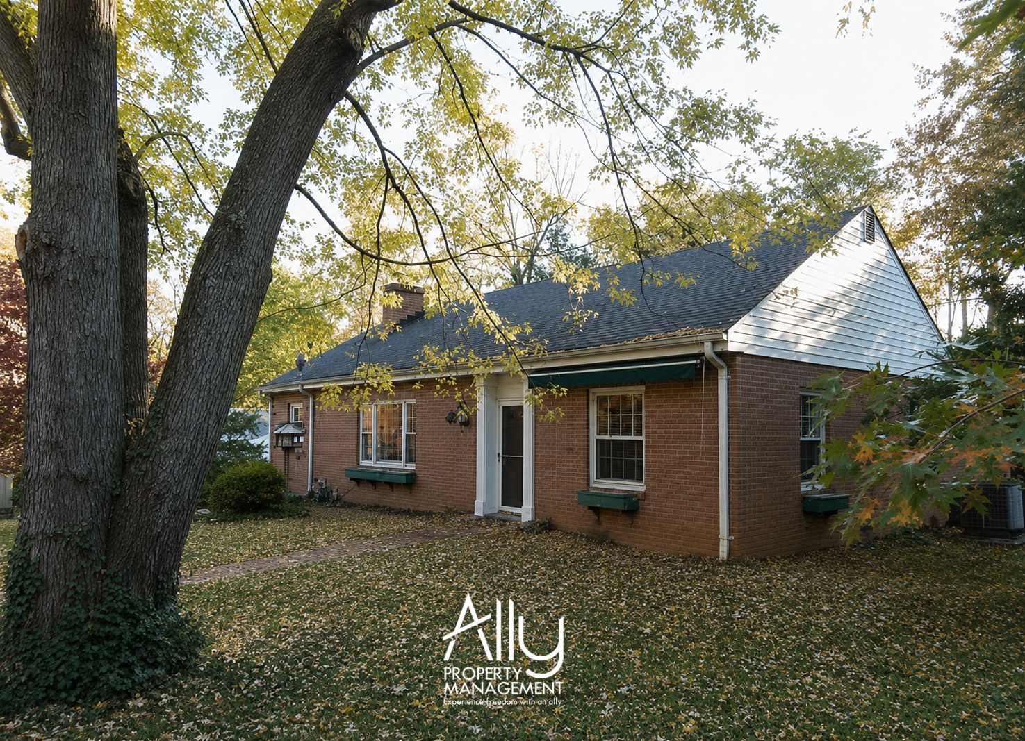 Property main image